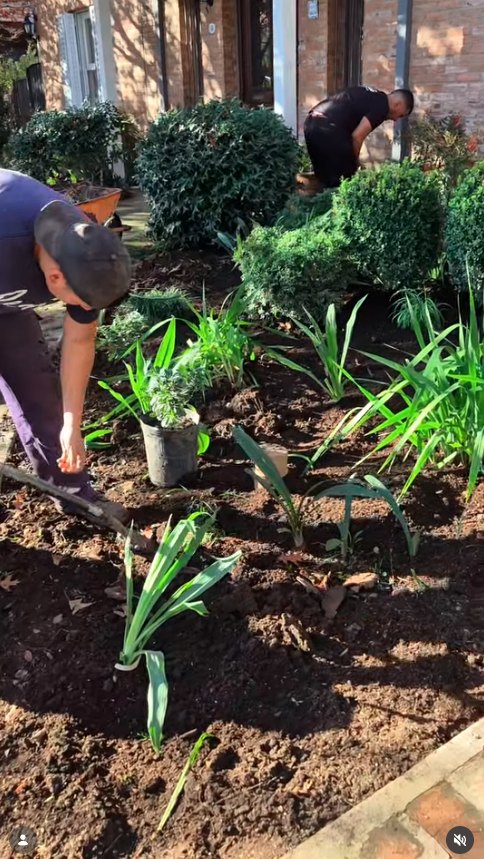 Plantación en cantero residencial