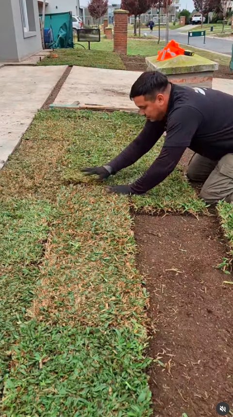 Avance de césped y preparación general
