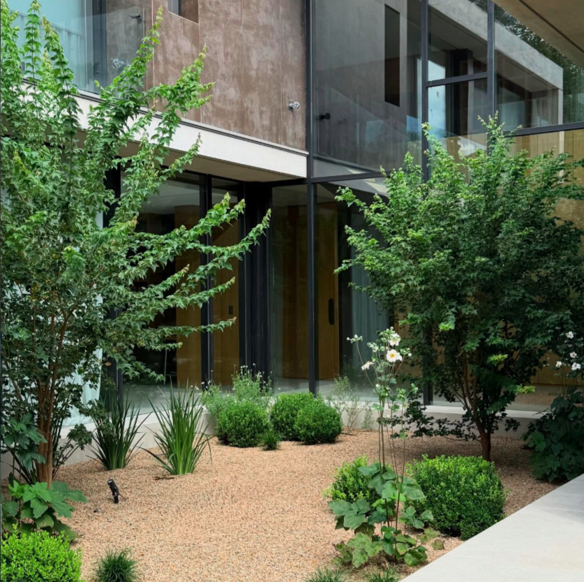 Patio interior con grava y especies estructurales