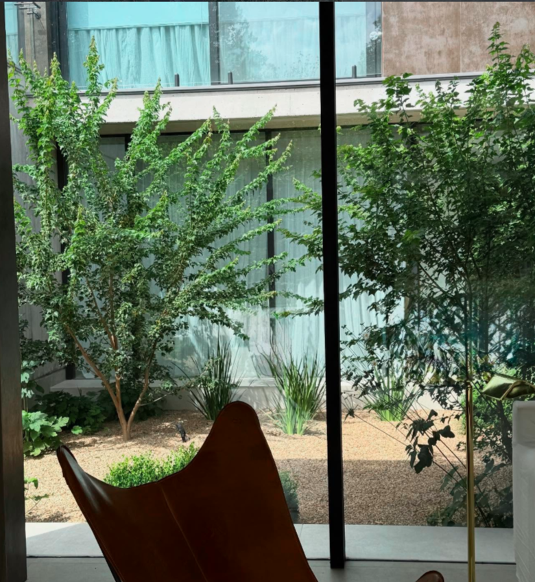 Vista interior hacia jardín