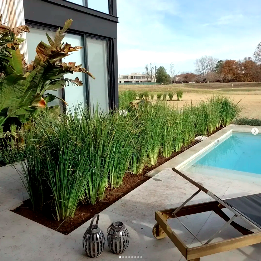Borde de piscina con gramíneas y especies tropicales