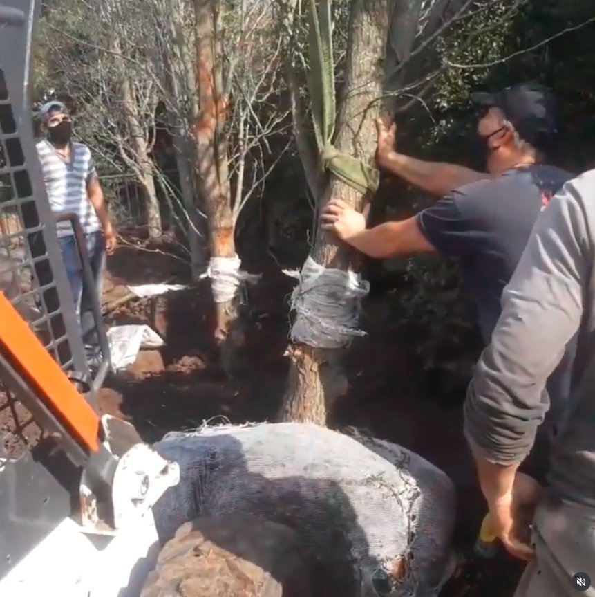 Posicionamiento en obra